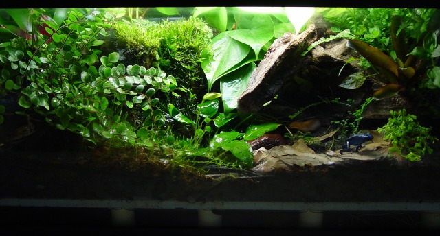 15gallon