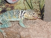 Dave having some lunch