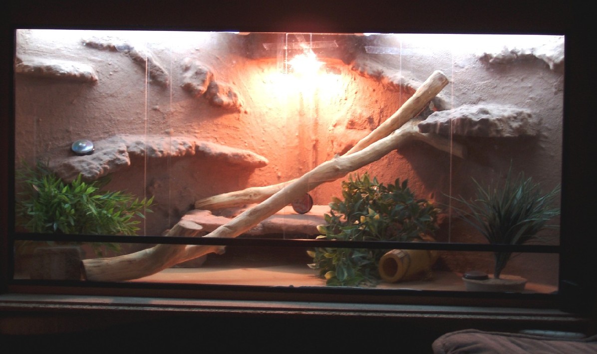 Dave's new house