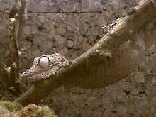 Hanging out