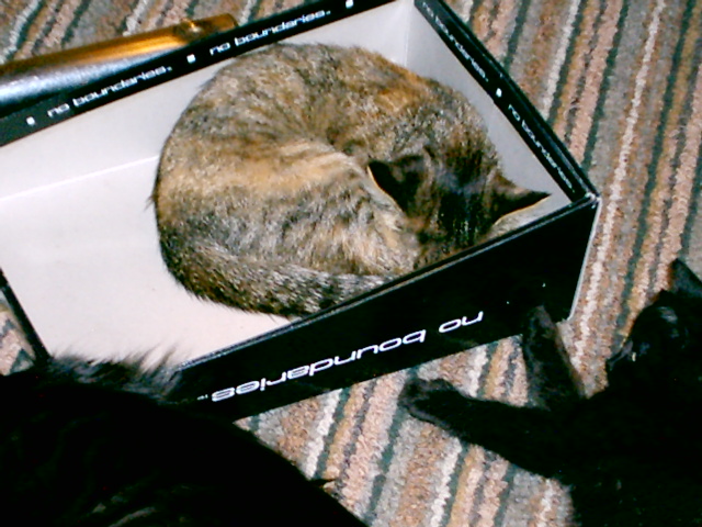 tunsesbox