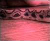 BRB pattern shot