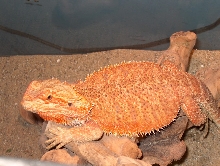 lookin a little orange