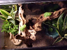 Top View of Waxy Tank
