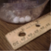 Some reptile eggs