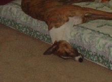 SLEEPING GROMIT