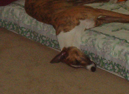 SLEEPING GROMIT