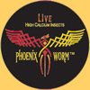 phoenix worms