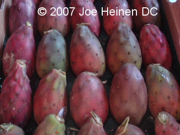 Cactus Fruit