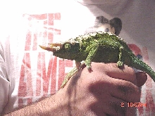 Rest in Peace my friend