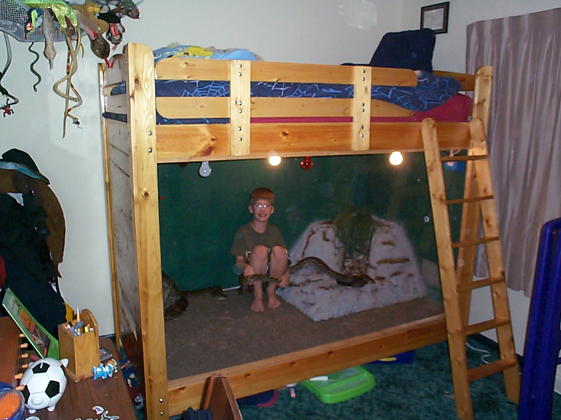 the retics and tommys bed