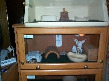 bookcase cages
