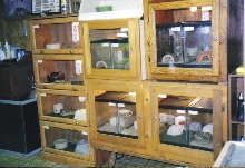 few cages in snake room