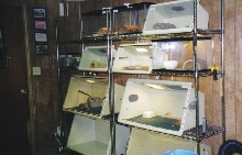 more cages