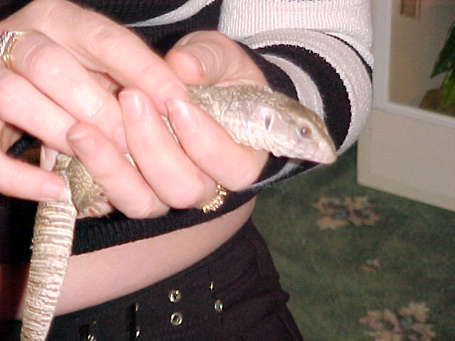 Edmund