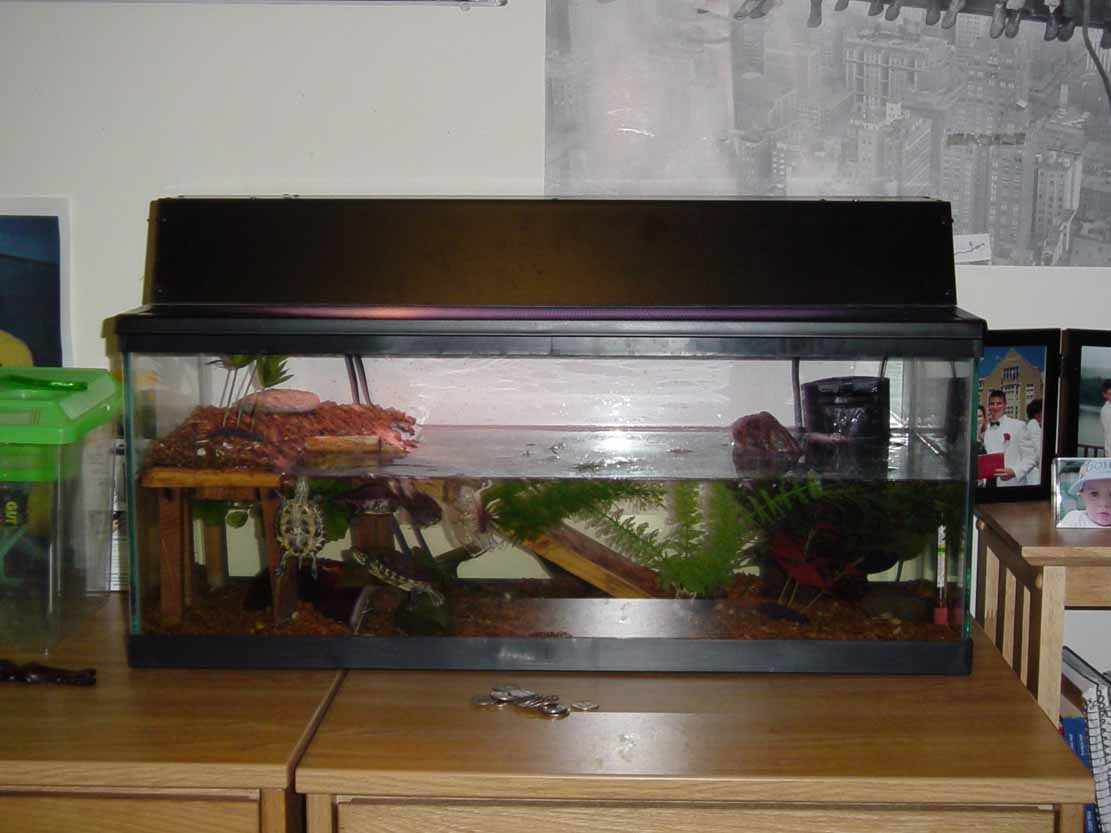 setup at school