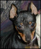 Minnie My baby