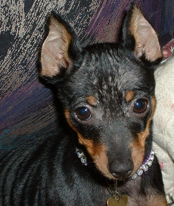 Minnie My baby