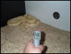 temp 1