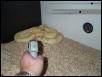 temp 2
