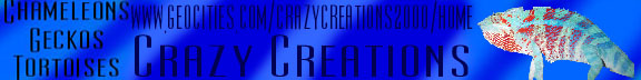 Home Made Banner
