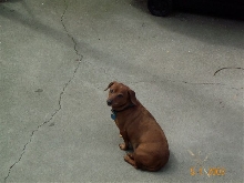 what a gooooood boy!