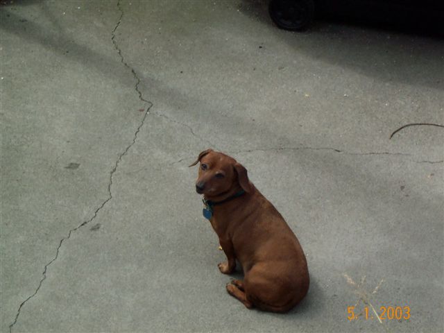 what a gooooood boy!