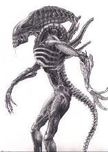 Aliens