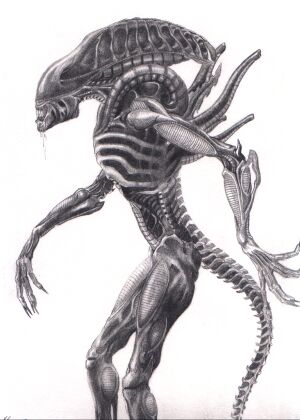 Aliens
