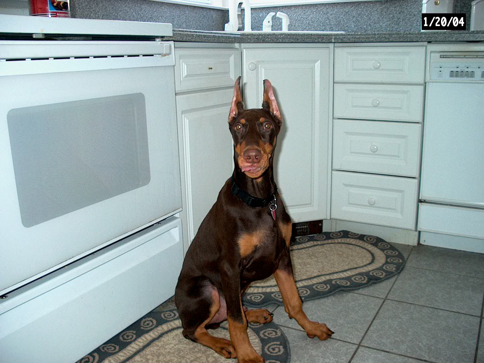 4 mos.