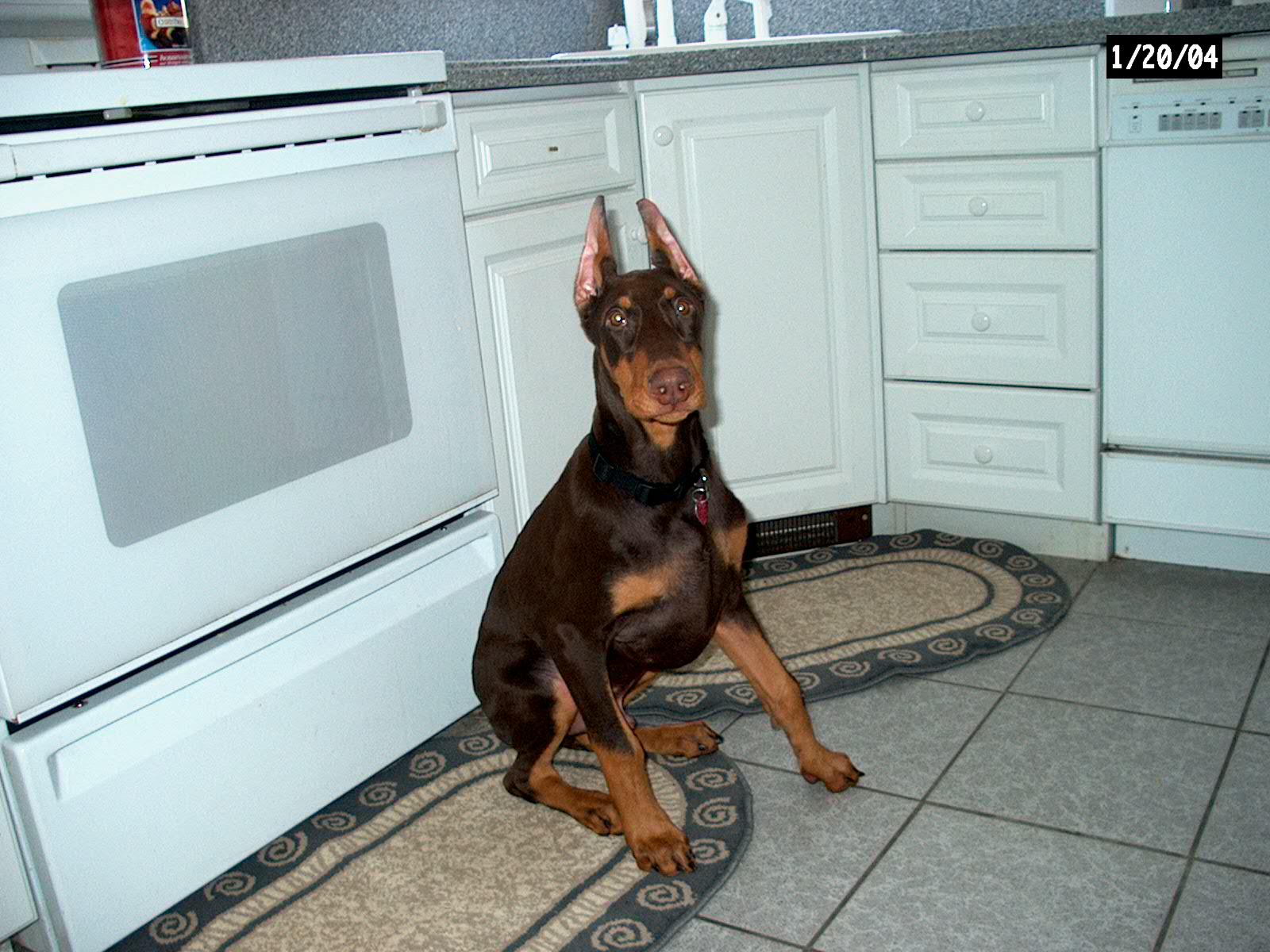 4 mos