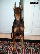 Almost 6 months old