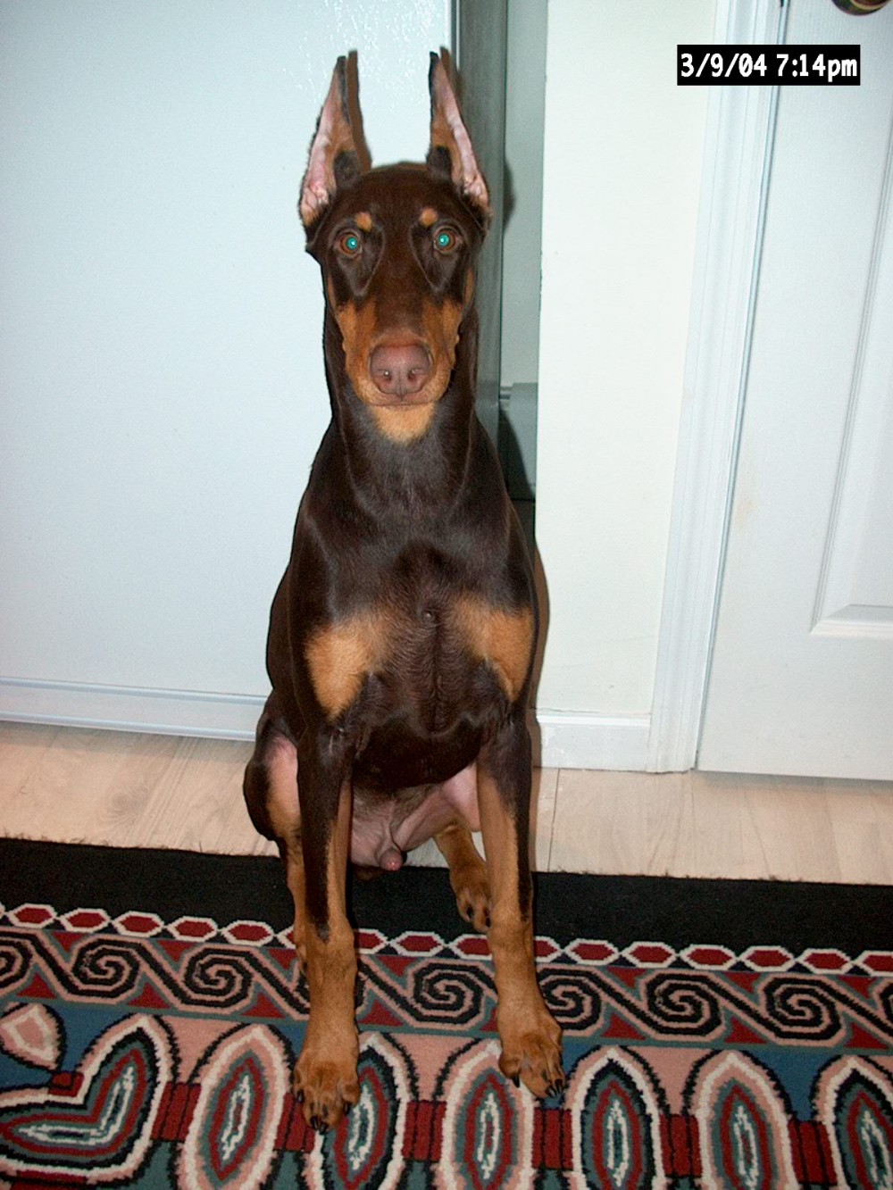 Almost 6 months old