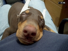 Catchin some ZZZZZ`s
