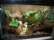 10 Viv April 9th