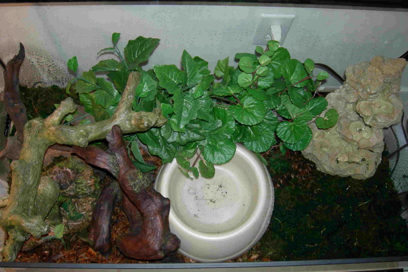 BRB Cage 55 Gallon