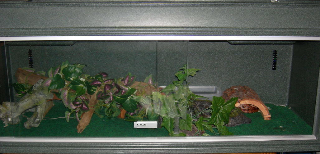 Showcase Cage