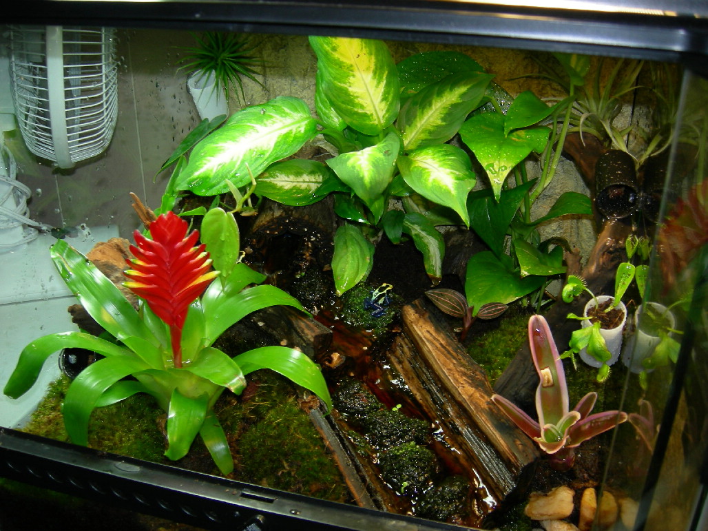 Tinc Viv 2 April 25th