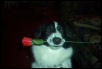 be mine