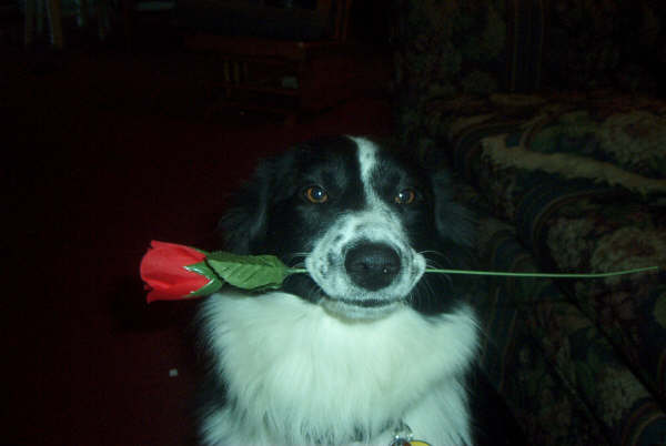 be mine