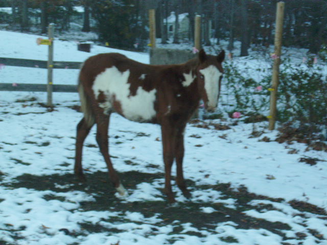 whimsy 10 mo old