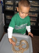 my 21 month old nephew markus and hognose