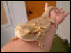 Tight grip