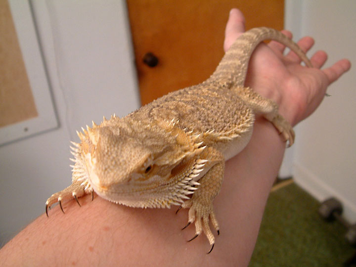 Tight grip