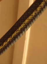 Butler's Garter Snake? ID Help Please (II)