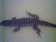 after cast