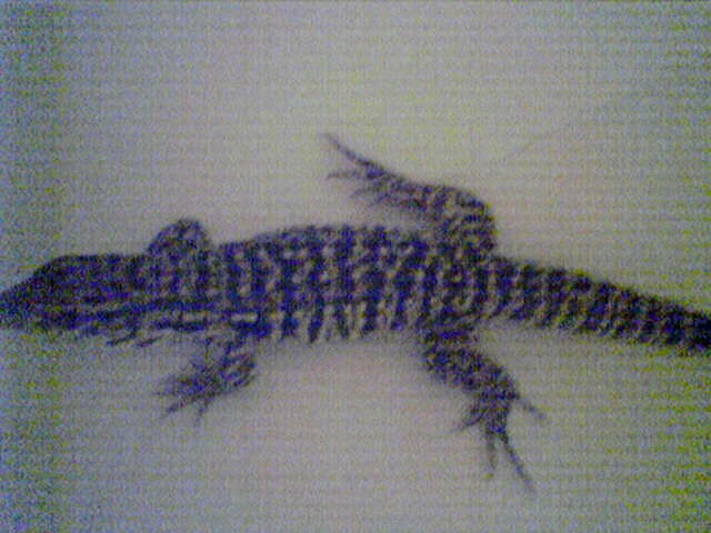 after cast