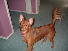 Rusty