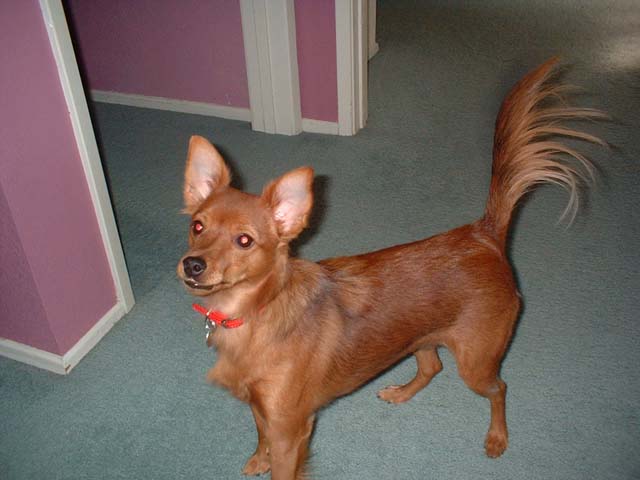 Rusty