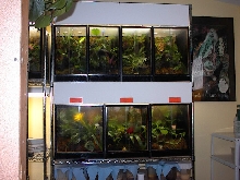 rack system